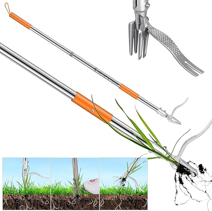 YYMIYU 52" Stand Up Weed Puller Tool – 4-Claw Stainless Steel Weeder with Grass-Pushing & Weed-Ejection Design – Heavy-Duty 0.8mm Steel Handle for Effortless Root Removal