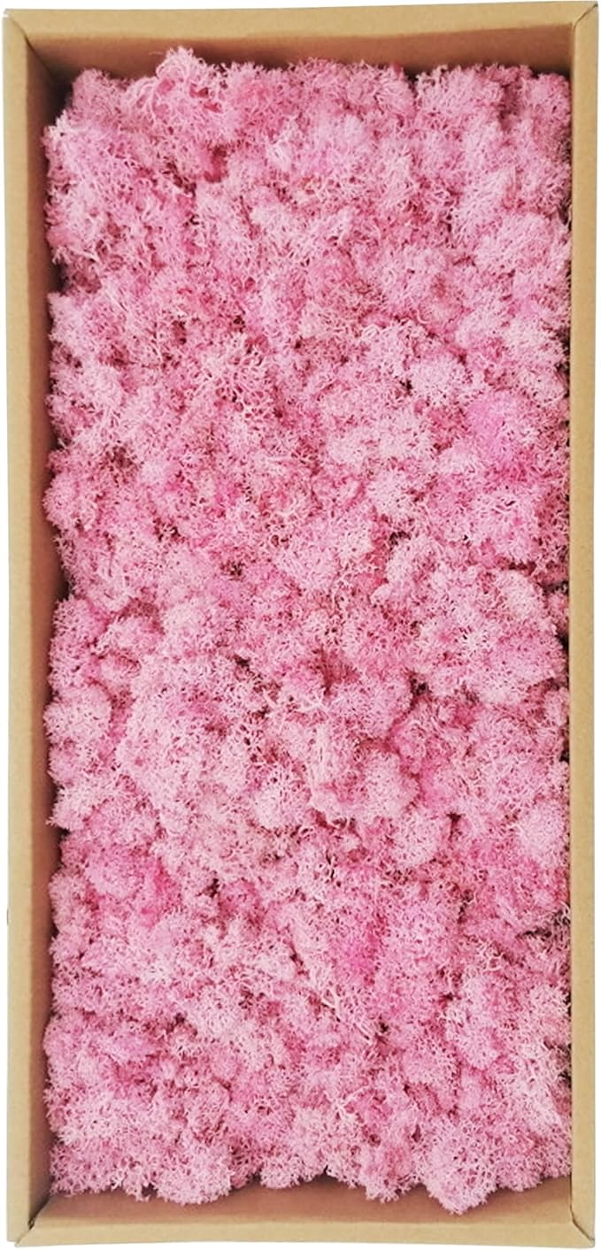 Preserved Moss 5oz Artificial Natural Fresh Green Moss for Craft Handicraft Arts Floral Project Wall Decor Table Decor Wedding Centerpieces Garden Terrariums Decoration-Pink
