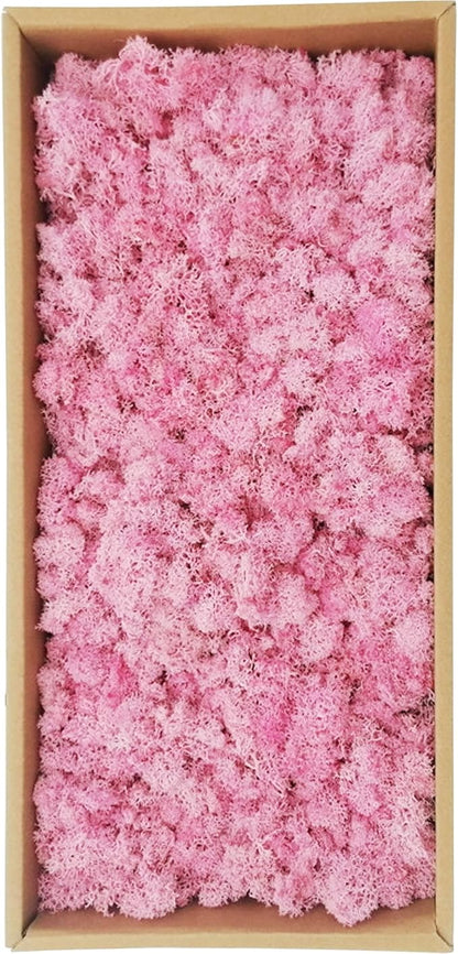 Preserved Moss 5oz Artificial Natural Fresh Green Moss for Craft Handicraft Arts Floral Project Wall Decor Table Decor Wedding Centerpieces Garden Terrariums Decoration-Pink