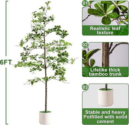 6FT Artificial Black Olive Tree Artificial Olive Plants, Tall Faux Olive Tree Faux Silk Plant Fake Plant Ultra-Realistic Silk Leaves & Natural Trunk Indoor Outdoor Use
