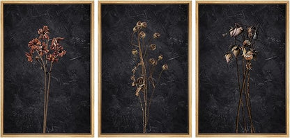 Ashbrook Framed Canvas Print Wall Art Set Dark Moody Wildflowers Nature Wilderness Illustrations Modern Art Decorative Floral Botanical Minimal Calm/Relax/Cozy for Bedroom - 16"x24"x3 Natural