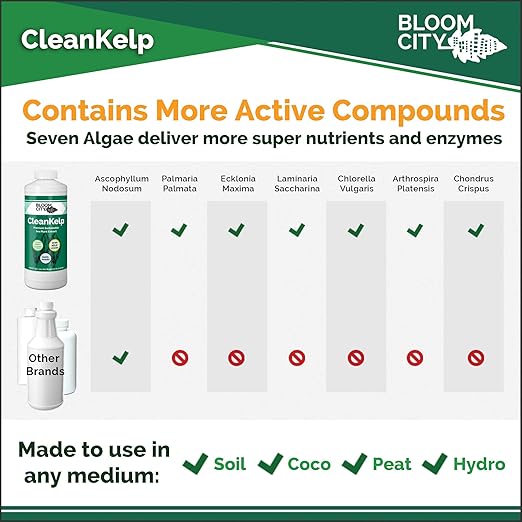 Bloom City Organic Liquid Seaweed and Kelp Fertilizer Supplement, Quart (32 oz) Concentrated Makes 180 Gallons