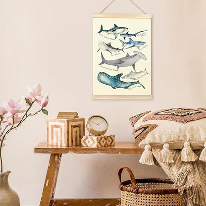 TAEDIN Watercolor Shark Ocean Animal Chart Poster Hanger Frame, Educational Shark Kid Bathroom Decor Wooden Canvas Artwork Print, Sea Life Wall Painting for Homeschool Classroom Library Dorm Decor 16X24