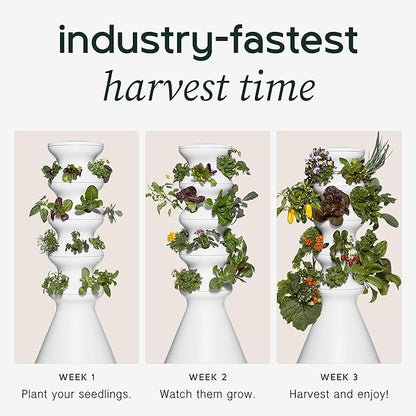 Farmstand Starter Kit with Glow Rings and 24 Seedling Credits | Medium Hydroponic Growing System Kit | Vertical Garden Planter Tower | 4ft 10in Tall