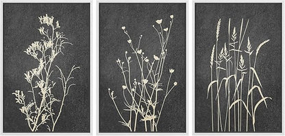 Ashbrook Framed Canvas Print Wall Art Set Black Tan Forest Plant Silhouettes Nature Wilderness Illustrations Modern Art Rustic Chic Colorful for Living Room, Bedroom, Office - 16"x24"x3 White