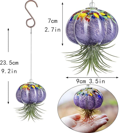 H&D HYALINE & DORA Hanging Hand Blown Art Glass Jellyfish Air Planter Terrarium Decor for Garden Porch Windowsill (No Plants)