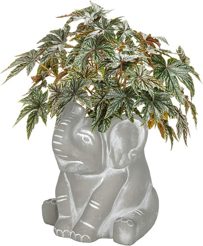 Classic Home and Garden Cement Buddies Animal Planter - Cute Desk Decoration - UV Coated Animal Vase w/Removable Drain Plug - Succulent Planter for Indoor/Outdoor Use (Elephant, Natural, Small)