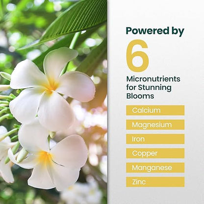 32oz Plumeria Fertilizer - Makes 32 Gallons of Liquid Plant Food for Plumeria Plants Live, Tropical Plant Fertilizer for Vibrant Flowers, Glossy Leaves, and Strong Roots - Nutrient-Rich Flower Food
