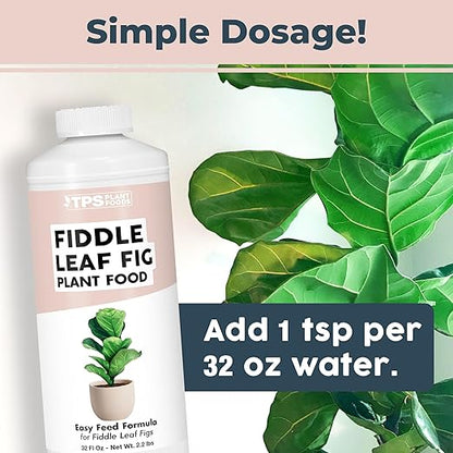 Fiddle Leaf Fig Plant Food for All Fig and Other Ficus Trees, Liquid Houseplant Fertilizer, 32 oz (1 Quart)