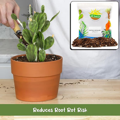Soil Sunrise Cactus and Succulent Potting Mix (8 Quarts) Special Blend-Fast Draining and Desert-Style Gritty