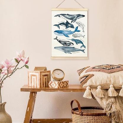 TAEDIN Whales Ocean Animal Chart Poster Hanger Frame, Whales Nautical Wall decor Educational Wooden Canvas Print, Sea Life Beach Wall Decor Painting for Classroom Nursery Bedroom Teen Room 12X16