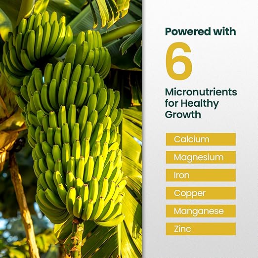 16oz Plant Food for Banana Trees Live Plants - Makes 16 Gallons of Banana Tree Fertilizer for Fruit Trees Live Plants - Promotes Lush Growth, Strong Roots, Abundant Harvest & Sweet Fruits