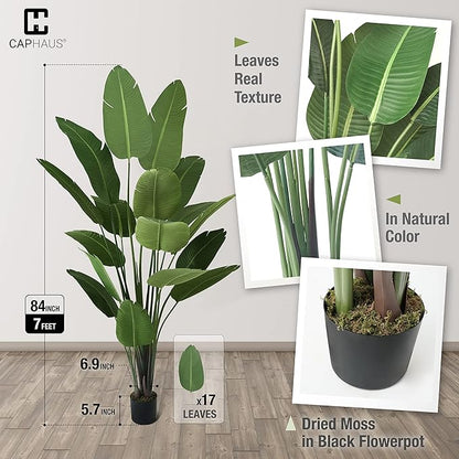 CAPHAUS 7FT Artificial Bird of Paradise Tree, UV Resistant Potted Fake Plant with Dried Moss for Indoor Outdoor Use, Realistic Large Floor Plant for Home Office Decor, No Maintenance