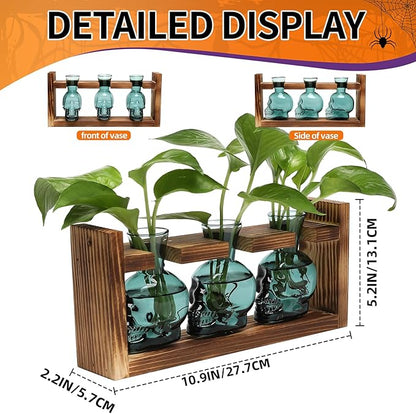 Plant Terrarium Propagation Stations Hydroponics Halloween Skull Planter Vase Skulls Decor with Wooden Stand Gife for Father