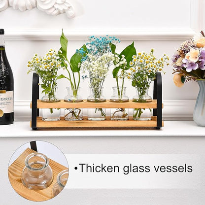 Plant Propagation Station with Wood Stand, Desktop Terrarium for Hydroponic, Flower Vase for Home, Kitchen, Office Decor, Plants Lover Gifts