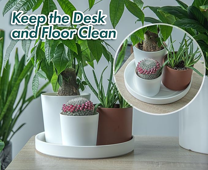Phoenix Vine 12 Inch Plastic Plant Saucer Water Drip Tray, Heavy Sturdy Round Plant Drainage Tray for Indoors Outdoor, Matte White, 21-TY-12W-1