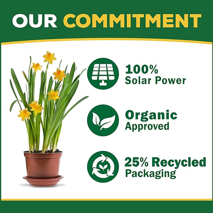 Espoma Organic 8 Ounce Concentrated Tomato! Plant Food - Plant Fertilizer for All Types of Tomatoes and Other Vegetables. for Organic Gardening. Pack of 1.