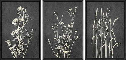 Ashbrook Framed Canvas Print Wall Art Set Black Tan Forest Plant Silhouettes Nature Wilderness Illustrations Modern Art Rustic Chic Colorful for Living Room, Bedroom, Office - 16"x24"x3 Black
