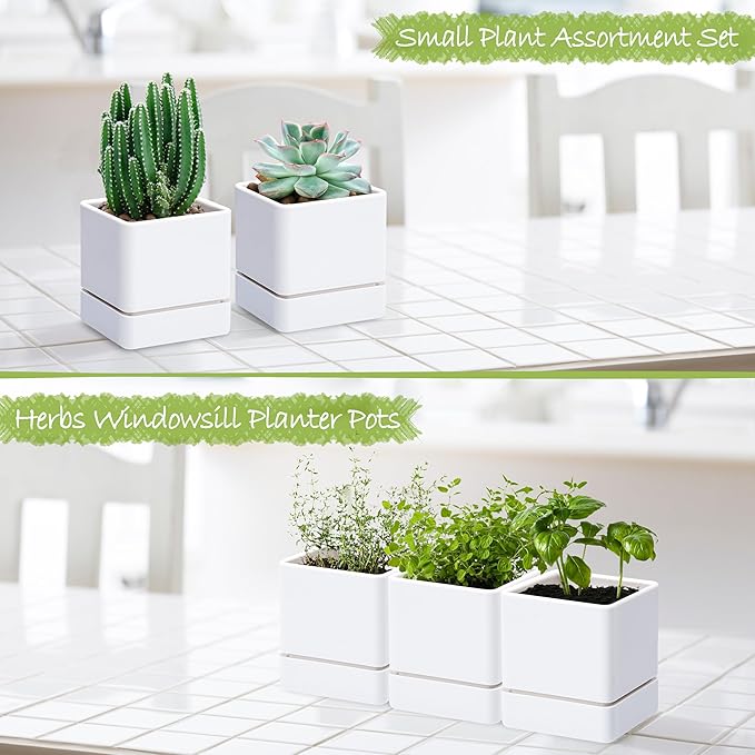 D'vine Dev 4 Inch Herb Planter Pot, Plastic Planter with Drainage Holes and Saucer, Modern Decorative Gardening Pot for Indoor Plants, Flowers, Herbs, Succulents, White, Set of 3, 76-Y-A3-1