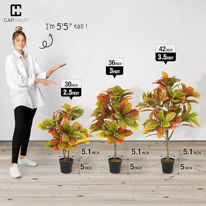 CAPHAUS 36 Inch Artificial Croton Tree Potted Plant - UV Resistant Faux Topiary Plant, Low Maintenance Realistic Indoor Outdoor Decor for Home, Office, Front Porch, Patio