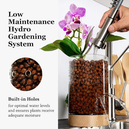 Pot & Pebble - C1 Glass Planter with Wooden Base - Indoor Glass Planter with Water Level Control Holes -Grow Plants in LECA Clay Pebbles/Similar Media - Semi Hydroponic Planter - Plant Cutting Holder