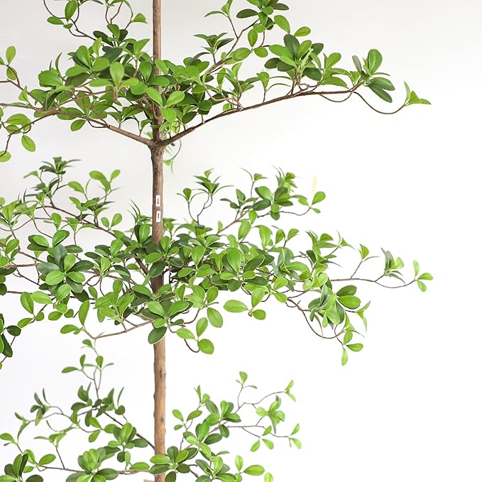 Artificial Black Olive Tree, 7FT Tall Faux Shady Lady Tree with Potted, Fake Olive Tree for Home Decor Indoor