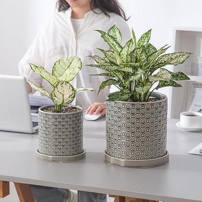 8 Inch Plant Pot: Ceramic Planter with Drainage Hole & Saucer Indoor Outdoor Plants - Cylinder Round Flower Pot for Home Office - Modern Decorative - Medium Grey