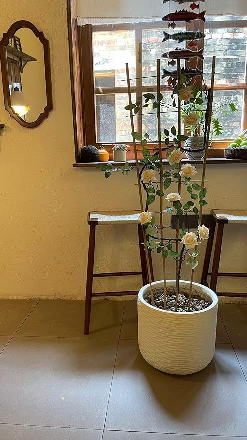 Natural Bamboo Trellis, 4Feet,6Pack,Fan-Shaped Plant Support Trellis for Outdoor and Indoor Potted Climbing Plants,Vegetables, Cucumber, Tomato, Hoya,