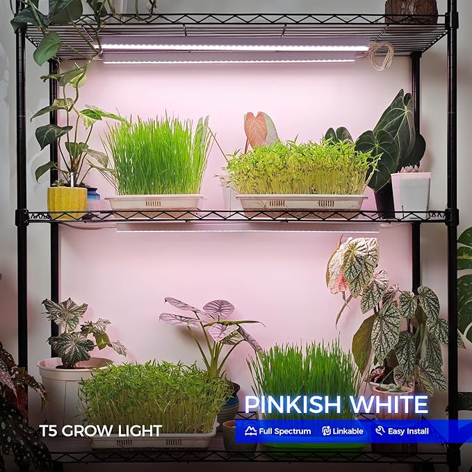 Barrina Grow Lights for Indoor Plants, Full Spectrum Sunlight, 2ft 40W (4 x 10W, 250W Equivalent), LED Grow Light Bulbs, T5 Grow Lights, Plug and Play, Pinkish White, 4-Pack