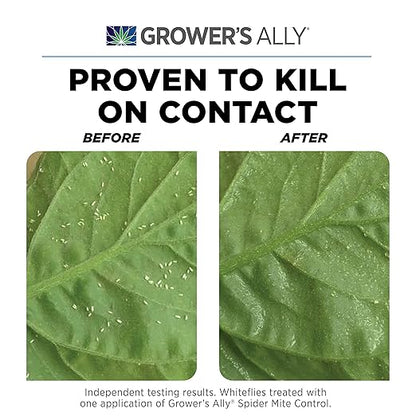 Grower's Ally Spider Mite Control Concentrate - Natural Insecticide & Spider Mites Killer for Plants Indoor & Outdoor - OMRI Listed Garden Pest Control - Bee, Pet & Kid Safe - 1 Qt, Makes 100 Gallons