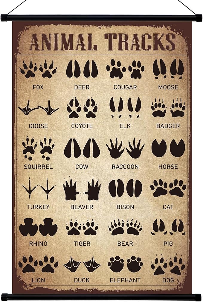 Geyee Animal Tracks Vintage Poster Wall Decor Forest Woodland Tracks Knowledge Picture Therian Field Guide Sign Prints Wall Art for Home Kitchen Office Living Room Bedroom Frame, 15.8 x 23.6 Inch