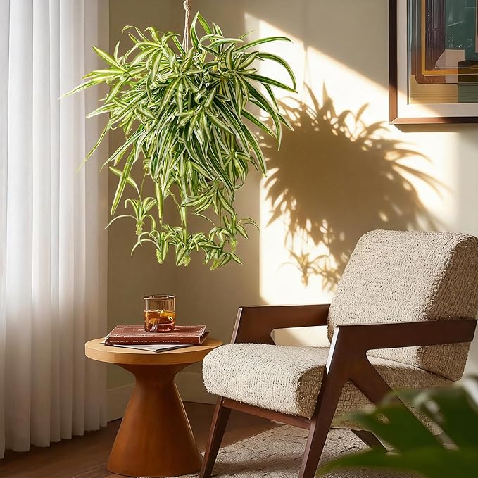 2 Pcs Artificial Spider Hanging Plant Artificial Bracketplant Chlorophytum Fake Greenery for Outdoor Porch Patio Window Shelf Office Garden Home Decor (Yellow)