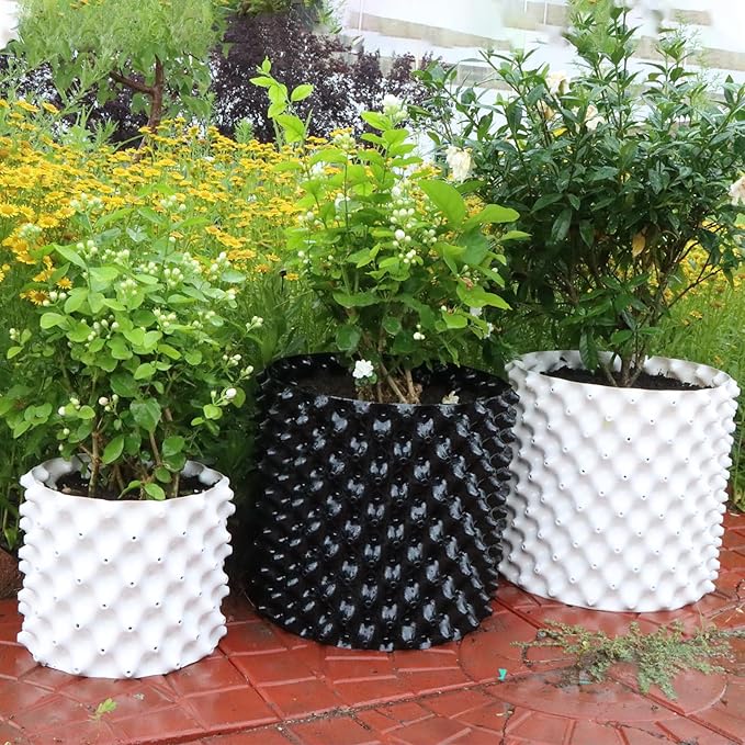 Plant air pruning pot, honeycomb porous structure design, improve root system development, prevent decay, suitable for flowers/vegetables/seedlings, farm planting solutions (Black, 12inches-5G-6P)