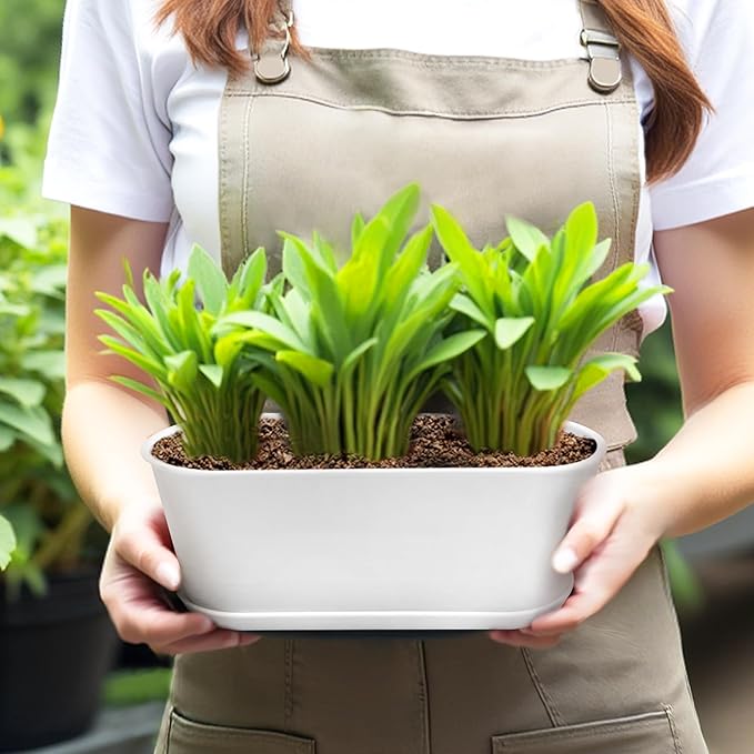 Window Box Planter with Saucers,10 Sets Rectangular Planter with Multiple Drainage Holes and Trays Plant Pots, for Succulent Cactus Flowers Vegetable