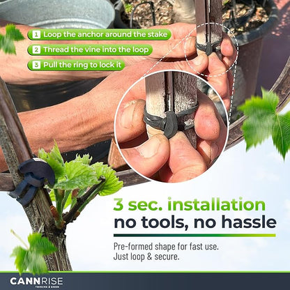 Anchor Bands for Trellising - 33-Pack 12 cm/4.72 in Rubber Vine Ties, UV-Protected Bands: Grapevines, Trees & Climbing Plants – Tool-Free Loop-and-Anchor Design for Install, Weatherproof