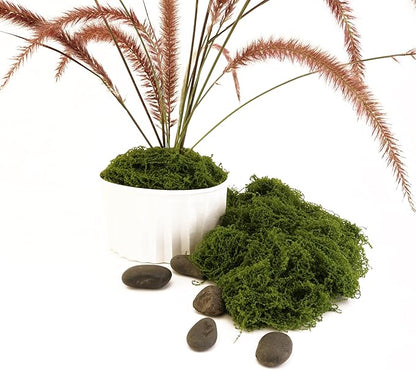 Dark Green Moss is Used for Handicrafts, Artificial Moss, Glass Vase Fillers, Wedding/Christmas/Spring Green Parties/Indoor Flower Pots/DIY Rainforest Models/Table Decoration (7.05 Ounces)