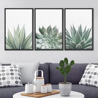 Ashbrook Framed Canvas Print Wall Art Set Green Desert Cactus Succulent Variety Nature Wilderness Photography Modern Art Minimal Chic Colorful for Living Room, Bedroom, Office - 16"x24"x3 Black