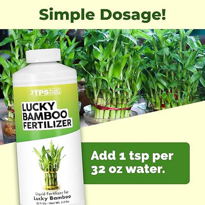 Lucky Bamboo Fertilizer, Complete Liquid Lucky Bamboo Plant Food, 32 oz (1 Quart)
