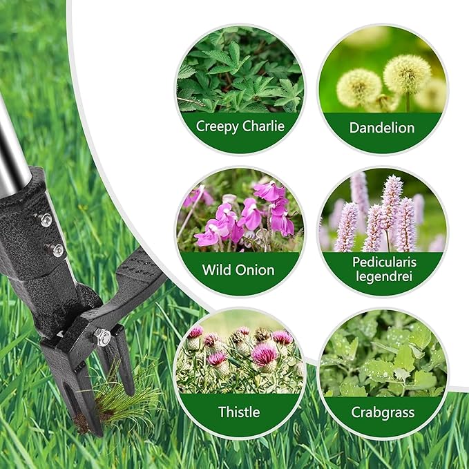 Weeder - Long-Handle Standing Weed Puller - 4-Claw Steel Head Weeder, Lawn/Yard-Specific Weed Removal Tool, Easily Remove Weeds Without Bending or Kneeling.
