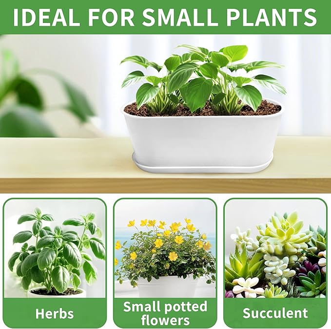 5 Set Window Herb Planter Box Rectangular,8.5x3.5 Inch White Plastic Planters with Multiple Drainage Holes and Trays,Indoor Succulent Cactus Mint Flower Pot for Windowsill,Garden Balcony