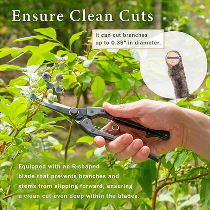 Professional Forged 8.2" Japanese Bud Cutting Pruning Shears Garden Flower Trimming Scissors Made in Japan (Single-blade)