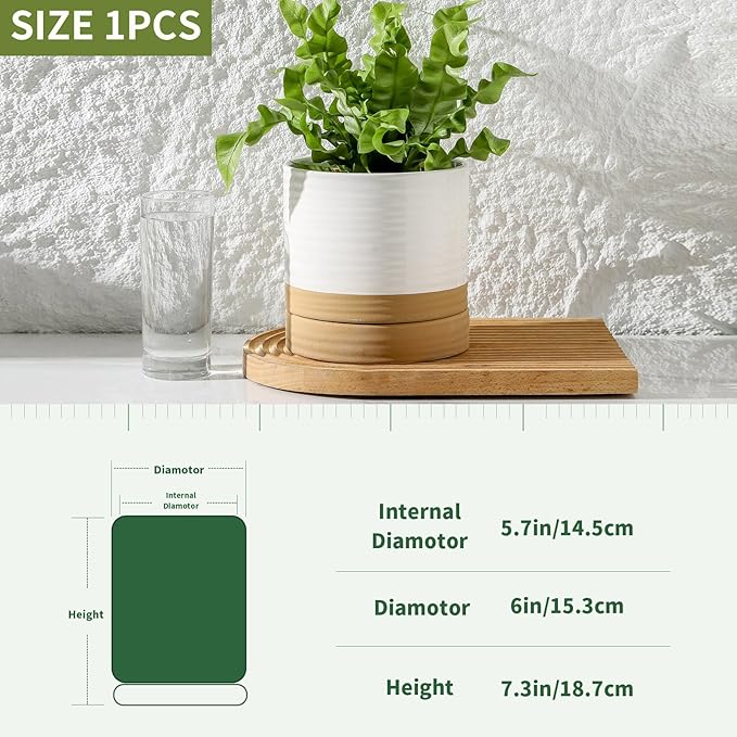 HASENSE Ceramic Plant Pots Indoor Outdoor, 6 Inch Pot for Plants with Drainage Hole and Saucer, White Modern Flower Planter for Housewarming Gift