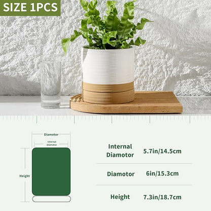 HASENSE Ceramic Plant Pots Indoor Outdoor, 6 Inch Pot for Plants with Drainage Hole and Saucer, White Modern Flower Planter for Housewarming Gift