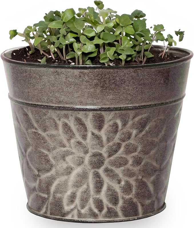 Robert Allen MPT02009 Laurel Series Metal Planter Flower Pots, 8", Greige