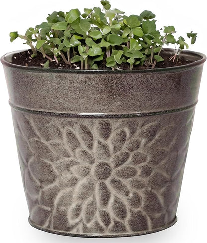 Robert Allen MPT02009 Laurel Series Metal Planter Flower Pots, 8", Greige