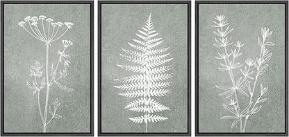 Ashbrook Framed Canvas Print Wall Art Set Green Forest Flower Plant Silhouette Nature Wilderness Illustrations Modern Art Rustic Chic Colorful for Living Room, Bedroom, Office - 24"x36"x3 Black