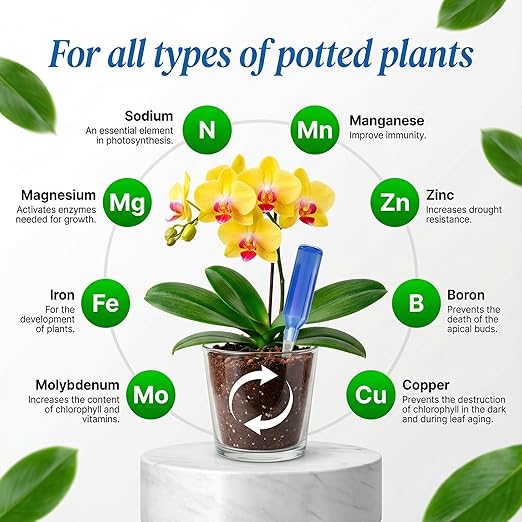 All-Purpose Liquid Plant Food Fertilizer (6-Pack) | Easy No-Mix Spikes for Indoor House Plants & Outdoor Flowers | Bloom Booster Nutrient Solution for Vibrant Growth & Strong Roots | Made in The USA