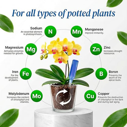 All-Purpose Liquid Plant Food Fertilizer (6-Pack) | Easy No-Mix Spikes for Indoor House Plants & Outdoor Flowers | Bloom Booster Nutrient Solution for Vibrant Growth & Strong Roots | Made in The USA