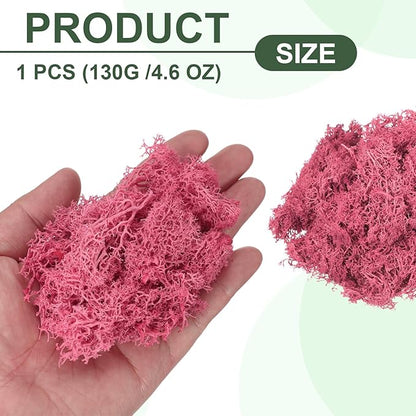 MECCANIXITY 4.6oz Preserved Reindeer Moss, Dark Pink Decorative Artificial Fake Moss for Potted Plants Indoor Crafts Lichen Centerpieces Decor