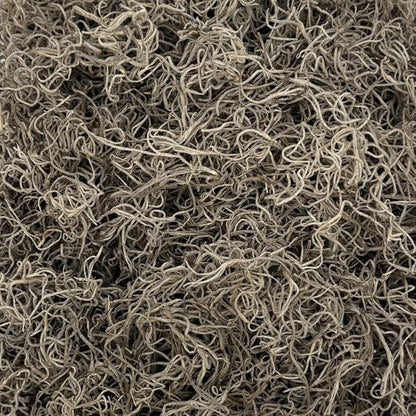 Preserved Spanish Moss - Decorative Moss - Dried Moss for Crafts, Home Decor, Art, Design & DIY Projects - for Indoor Use - Natural - Small Size